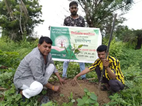 Tree Plantation 2019 – Ujjain
