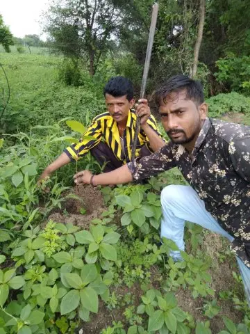 Tree Plantation 2019 – Ujjain