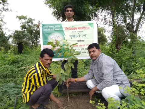 Tree Plantation 2019 – Ujjain