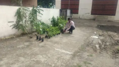 Tree Plantation 2019 – Ujjain