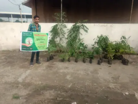 Tree Plantation 2019 – Ujjain