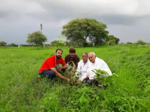 Tree Plantation 2019 – Ujjain