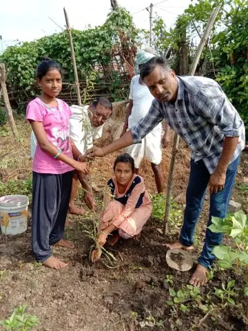 Tree Plantation 2020 – Andhra Pradesh & Telangana
