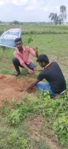 Tree Plantation 2020 – Andhra Pradesh & Telangana