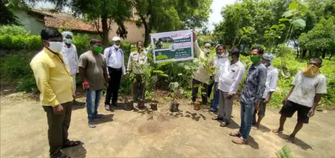 Tree Plantation 2020 – Andhra Pradesh & Telangana