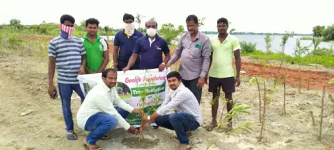 Tree Plantation 2020 – Andhra Pradesh & Telangana