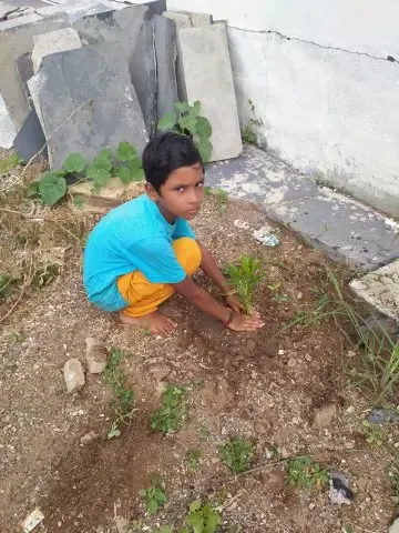 Tree Plantation 2020 – Andhra Pradesh & Telangana