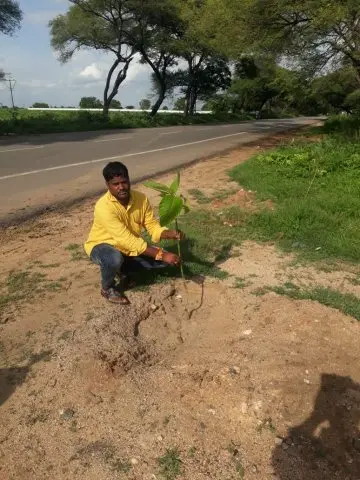 Tree Plantation 2020 – Andhra Pradesh & Telangana