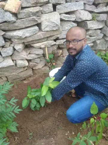 Tree Plantation 2020 – Andhra Pradesh & Telangana