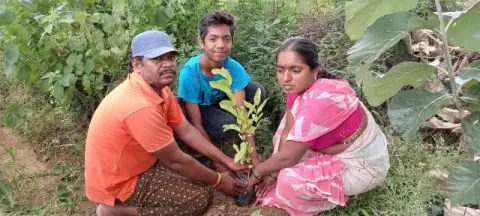 Tree Plantation 2020 – Andhra Pradesh & Telangana