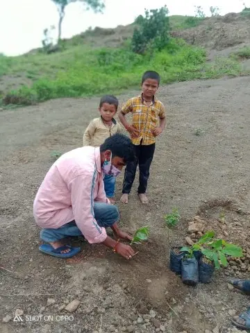 Tree Plantation 2020 – Andhra Pradesh & Telangana