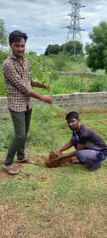 Tree Plantation 2020 – Andhra Pradesh & Telangana