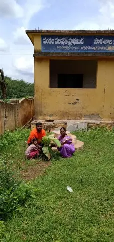 Tree Plantation 2020 – Andhra Pradesh & Telangana