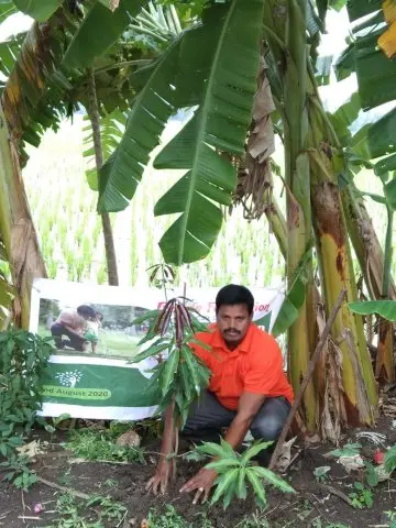Tree Plantation 2020 – Andhra Pradesh & Telangana