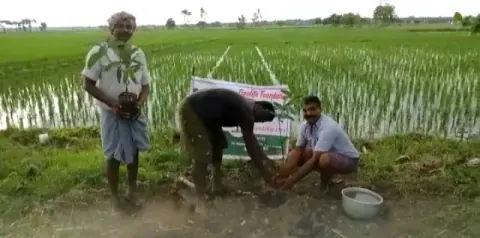 Tree Plantation 2020 – Andhra Pradesh & Telangana