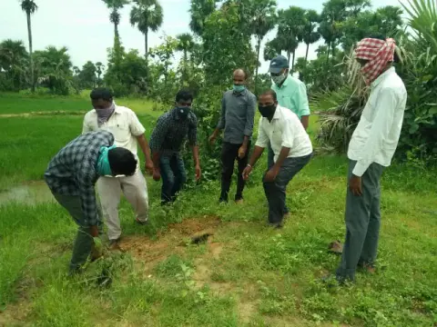 Tree Plantation 2020 – Andhra Pradesh & Telangana