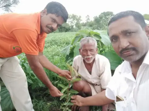 Tree Plantation 2020 – Andhra Pradesh & Telangana