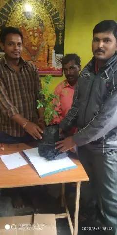 Tree Plantation 2020 – Andhra Pradesh & Telangana