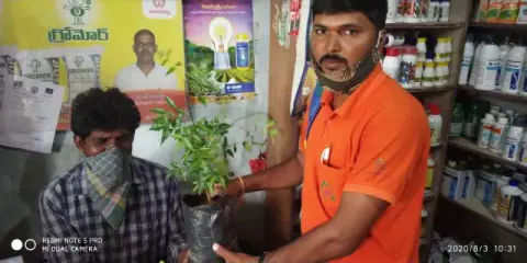 Tree Plantation 2020 – Andhra Pradesh & Telangana