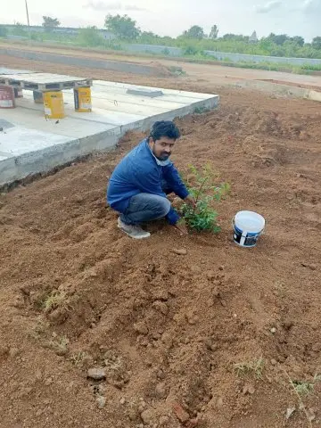 Tree Plantation 2020 – Andhra Pradesh & Telangana