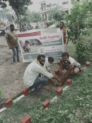 Tree Plantation 2020 – Bihar