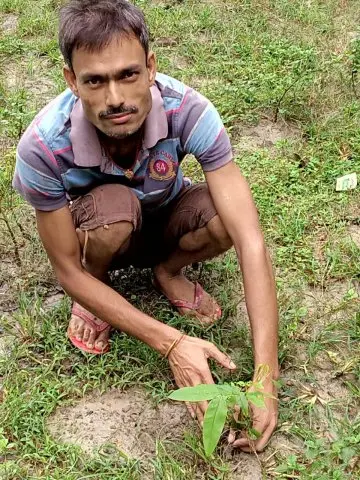 Tree Plantation 2020 – Bihar