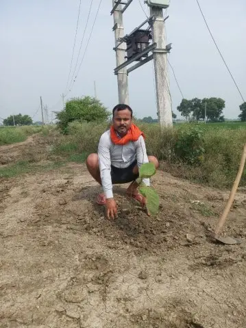 Tree Plantation 2020 – Bihar