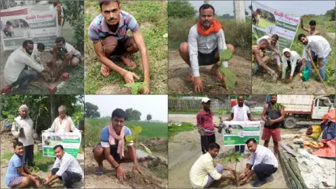 Tree Plantation 2020 – Bihar