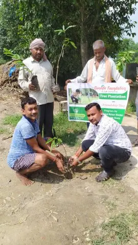 Tree Plantation 2020 – Bihar