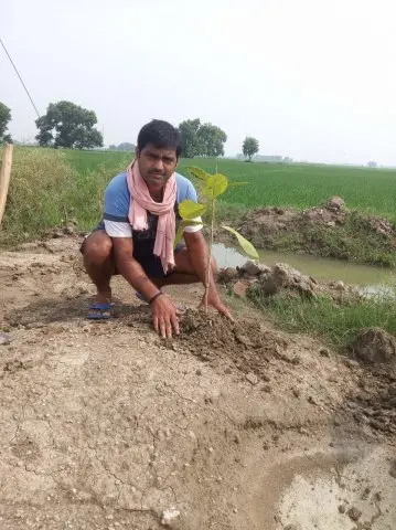 Tree Plantation 2020 – Bihar