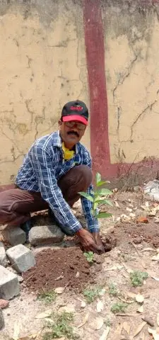Tree Plantation 2020 – Chhattisgarh