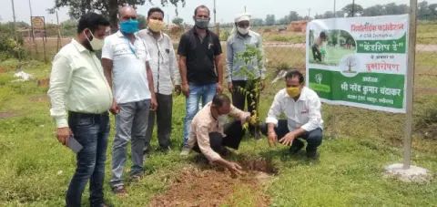 Tree Plantation 2020 – Chhattisgarh