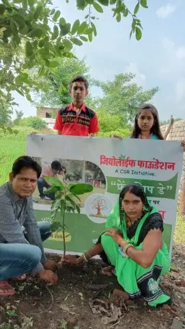 Tree Plantation 2020 – Chhattisgarh