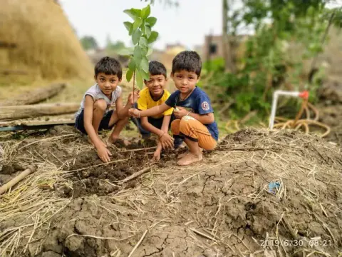 Tree Plantation 2020 – Chhattisgarh