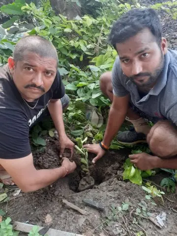 Tree Plantation 2020 – Chhattisgarh