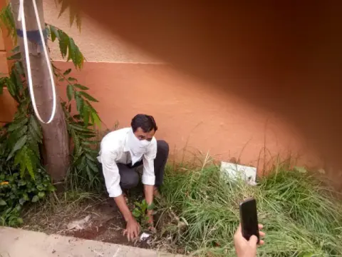 Tree Plantation 2020 – Factory & Research Farm