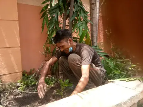 Tree Plantation 2020 – Factory & Research Farm