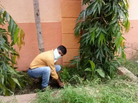 Tree Plantation 2020 – Factory & Research Farm