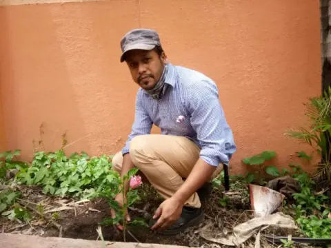 Tree Plantation 2020 – Factory & Research Farm