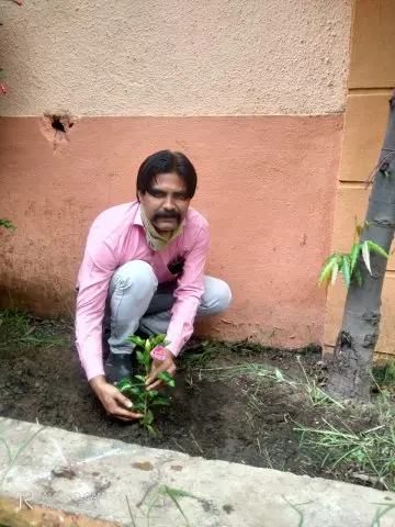 Tree Plantation 2020 – Factory & Research Farm