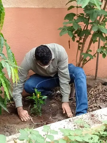 Tree Plantation 2020 – Factory & Research Farm