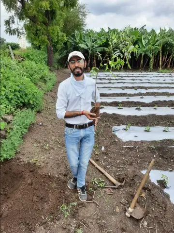 Tree Plantation 2020 – Factory & Research Farm