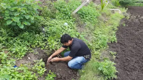 Tree Plantation 2020 – Factory & Research Farm