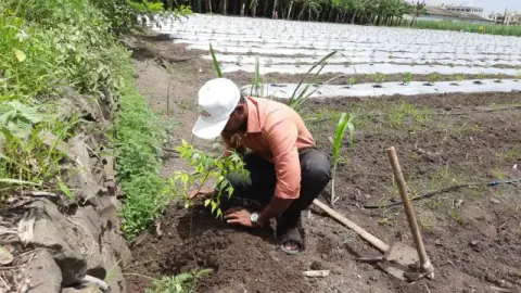 Tree Plantation 2020 – Factory & Research Farm