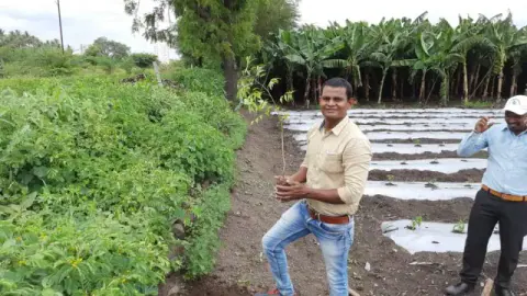Tree Plantation 2020 – Factory & Research Farm