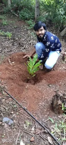 Tree Plantation 2020 – Factory & Research Farm