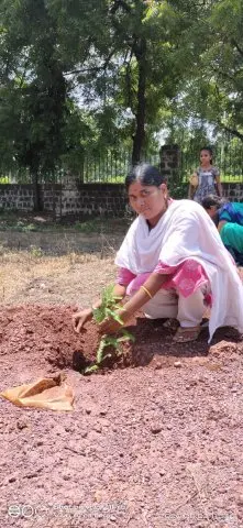 Tree Plantation 2020 – Factory & Research Farm