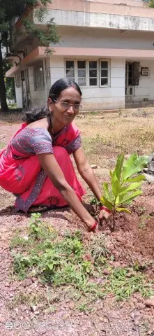 Tree Plantation 2020 – Factory & Research Farm