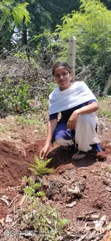 Tree Plantation 2020 – Factory & Research Farm