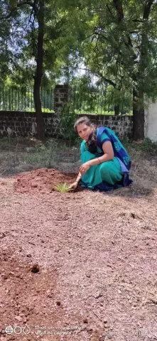 Tree Plantation 2020 – Factory & Research Farm